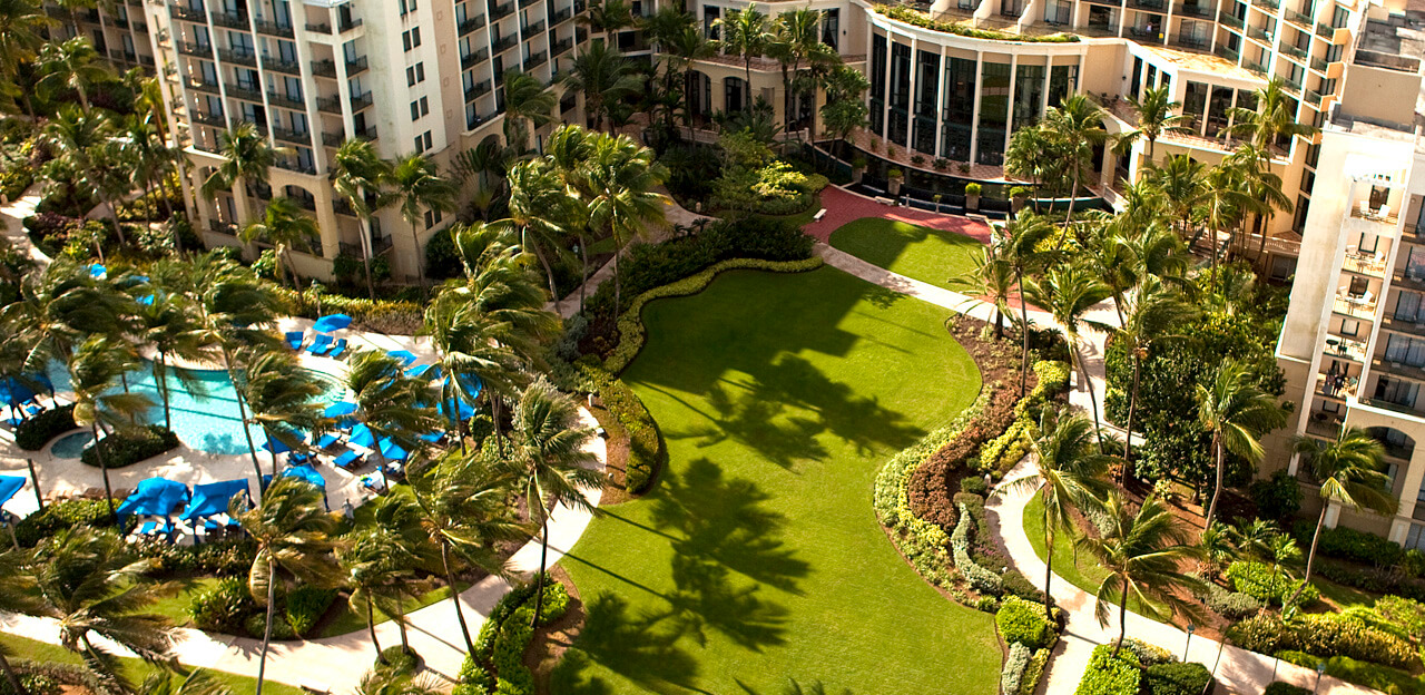 Aerial View of Pool and Lawn