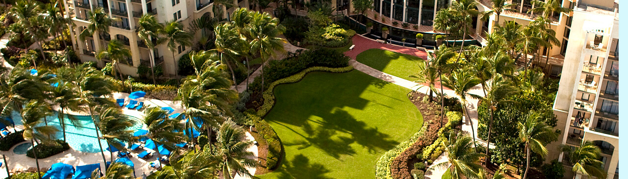 Aerial View of Pool and Lawn